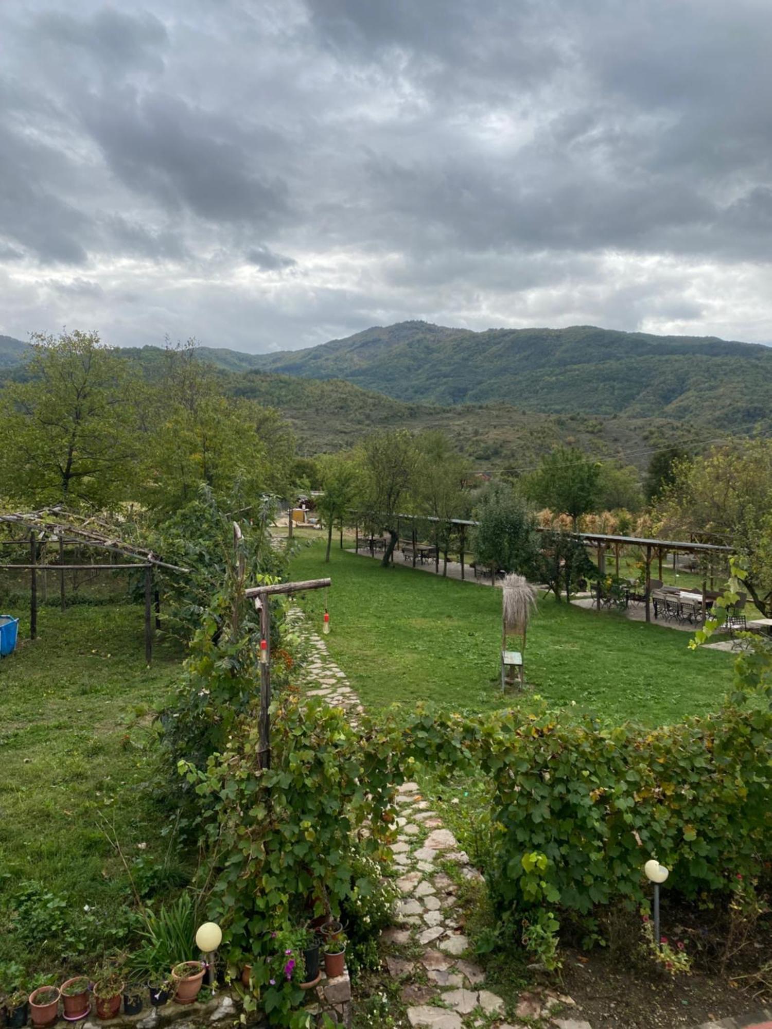 Vila Disha Tirana Buitenkant foto