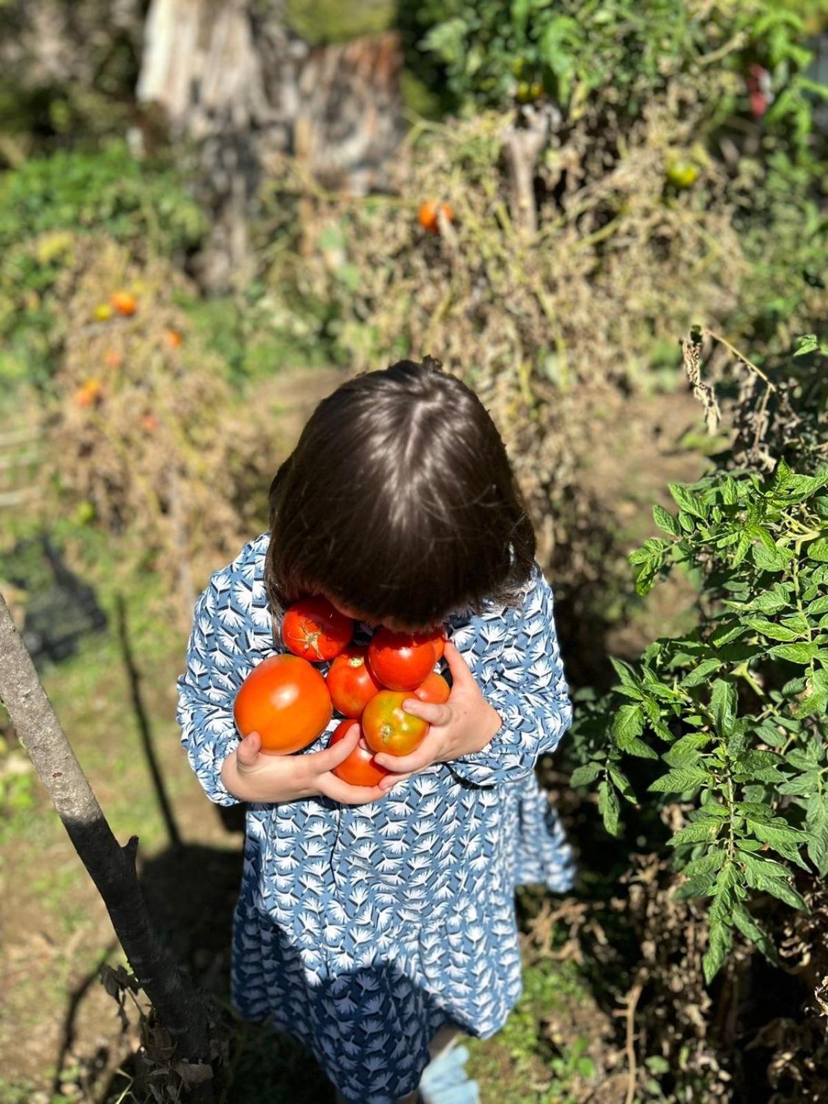 Vila Disha Villa Tirana Buitenkant foto