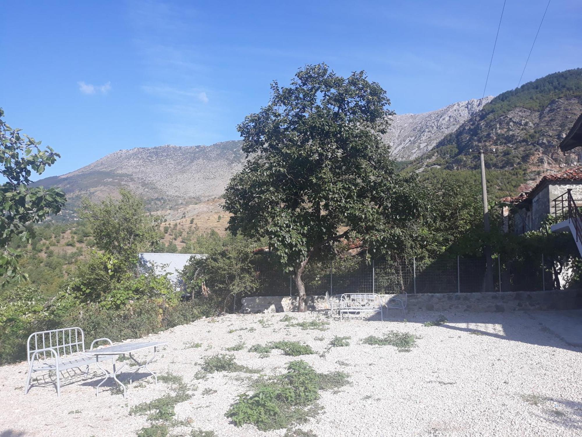 Vila Disha Tirana Kamer foto