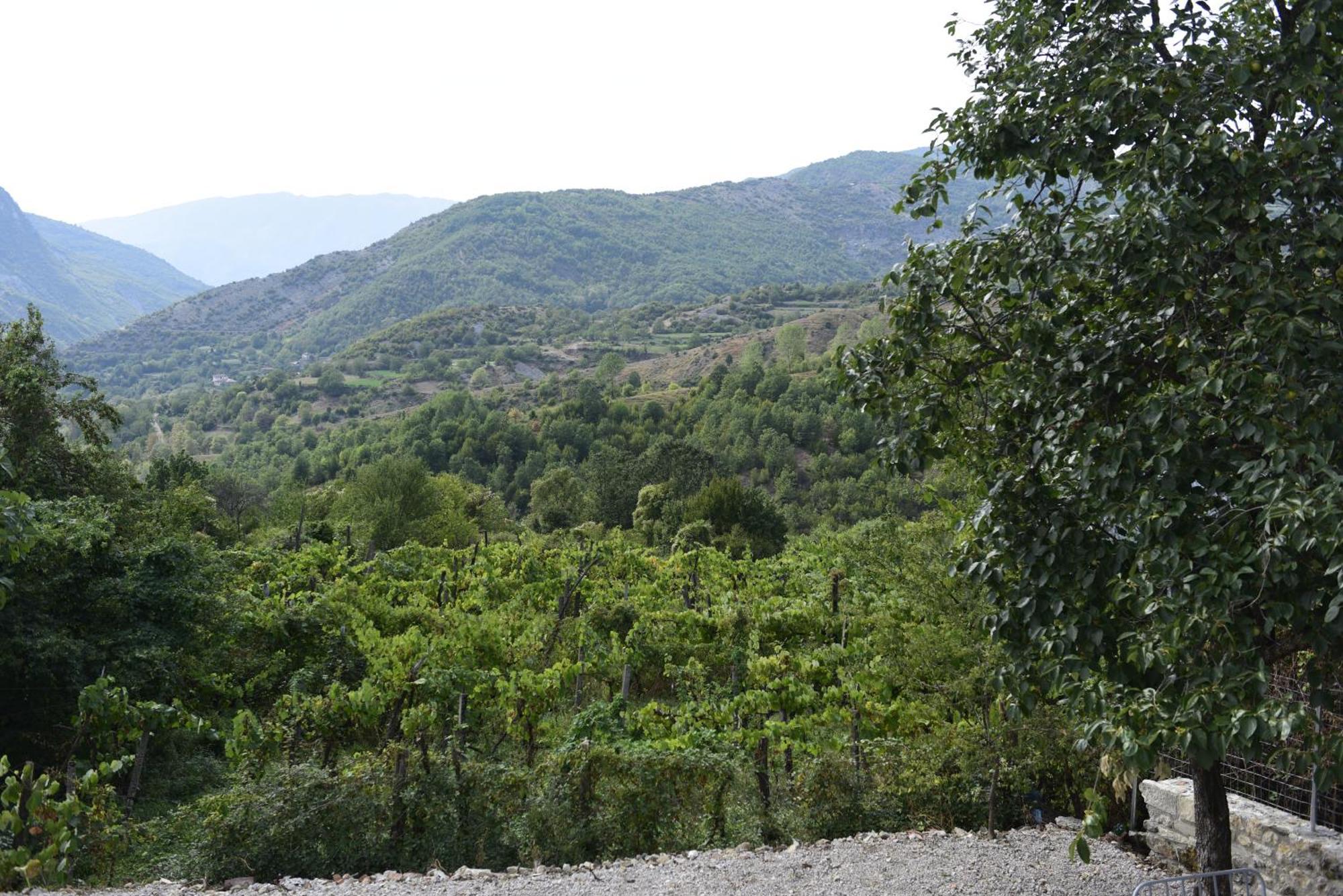 Vila Disha Tirana Kamer foto