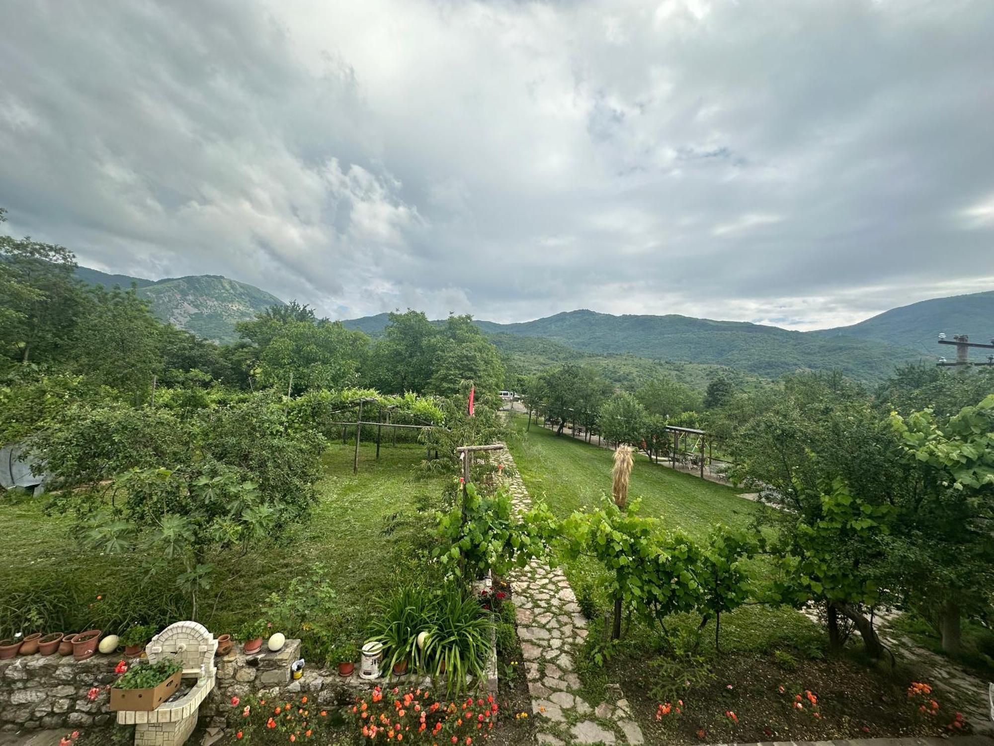 Vila Disha Tirana Buitenkant foto