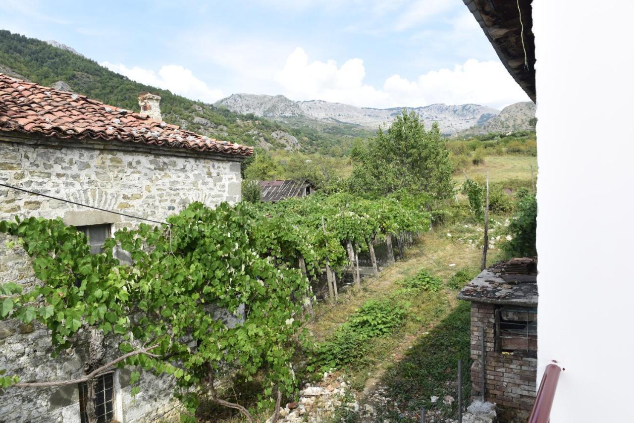 Vila Disha Villa Tirana Buitenkant foto